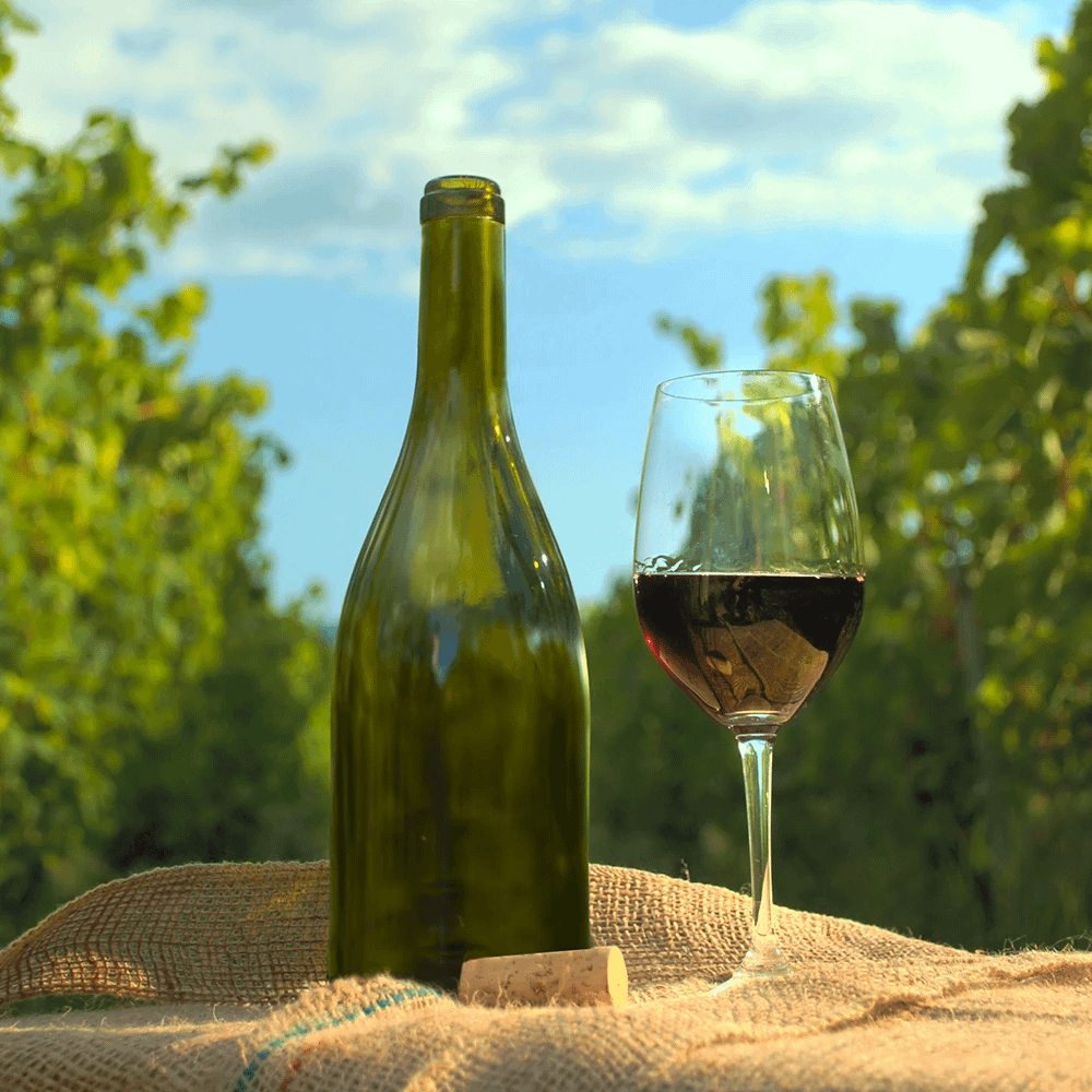viticulture Verre et bouteille de vin sur fond de vignes